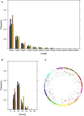 Sequence Polymorphisms and Structural Variations among Four Grapevine (Vitis vinifera L.) Cultivars Representing Sardinian Agriculture